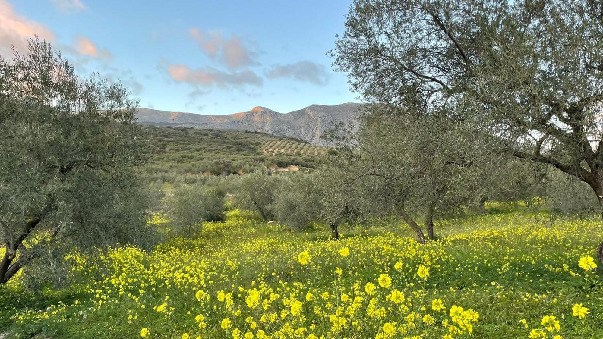 Finca Valle Verde Bed and Breakfast Alora Esterno foto